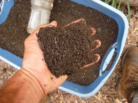Fine Screened High Quality Compost Medium Web view.jpg
